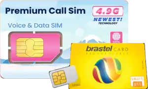 Data & IP Phone – 1 Month