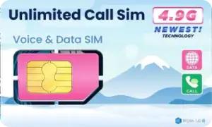 Data & Carrier Phone – 1 Month